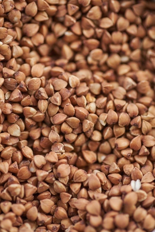 roasted buckwheat groats close up